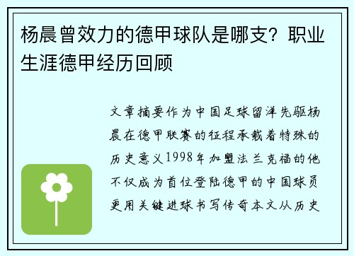 杨晨曾效力的德甲球队是哪支？职业生涯德甲经历回顾